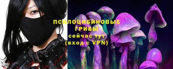 МДМА Козловка