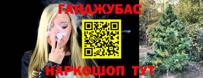 молекула духа Гатчина