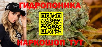 spice Волгодонск