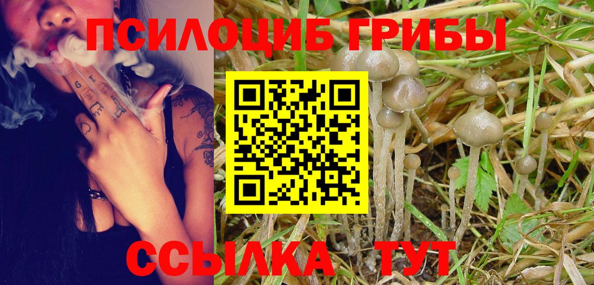 Галлюциногенные грибы ЛСД  Кашира 