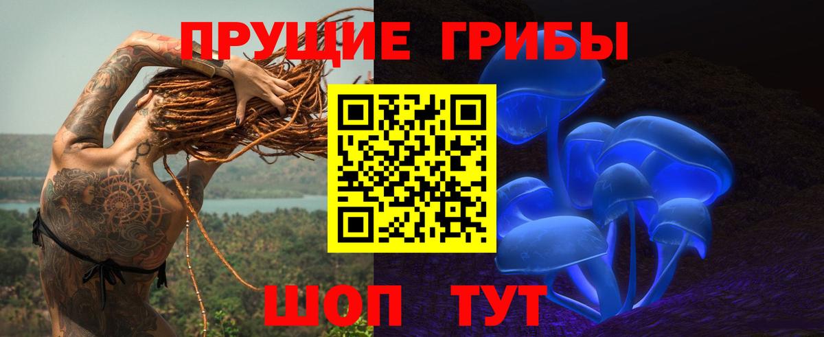 Галлюциногенные грибы Cubensis Кашира