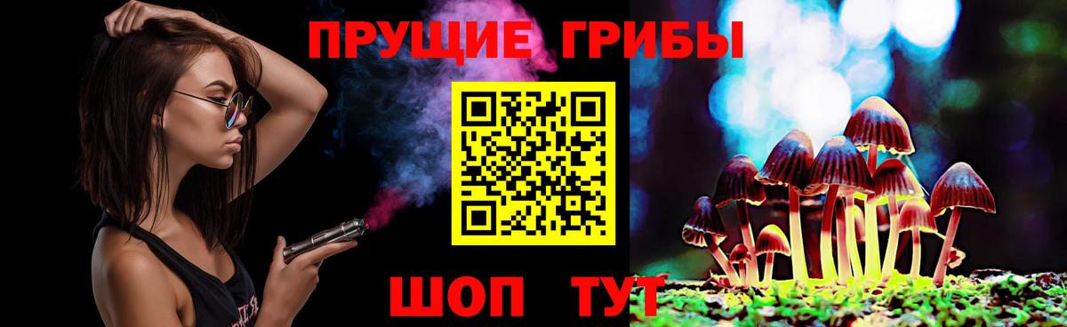 Псилоцибиновые грибы Psilocybe  Галлюциногенные грибы GOLDEN TEACHER  Вход с VPN  Кашира 